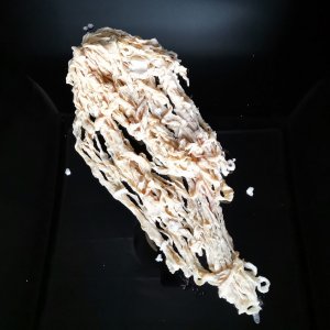 BAGETTA SUINO (BUDELLO TORTO)